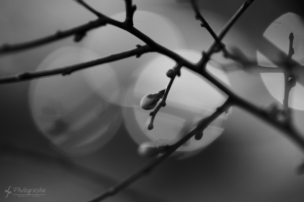 Schwarz Weiß Fotowalk in Düren