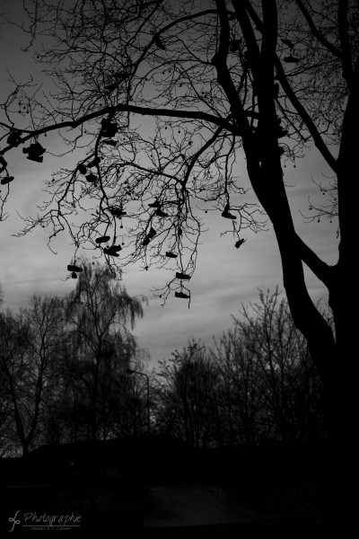 Schwarz Weiß Fotowalk in Düren