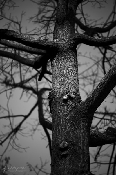 Schwarz Weiß Fotowalk in Düren