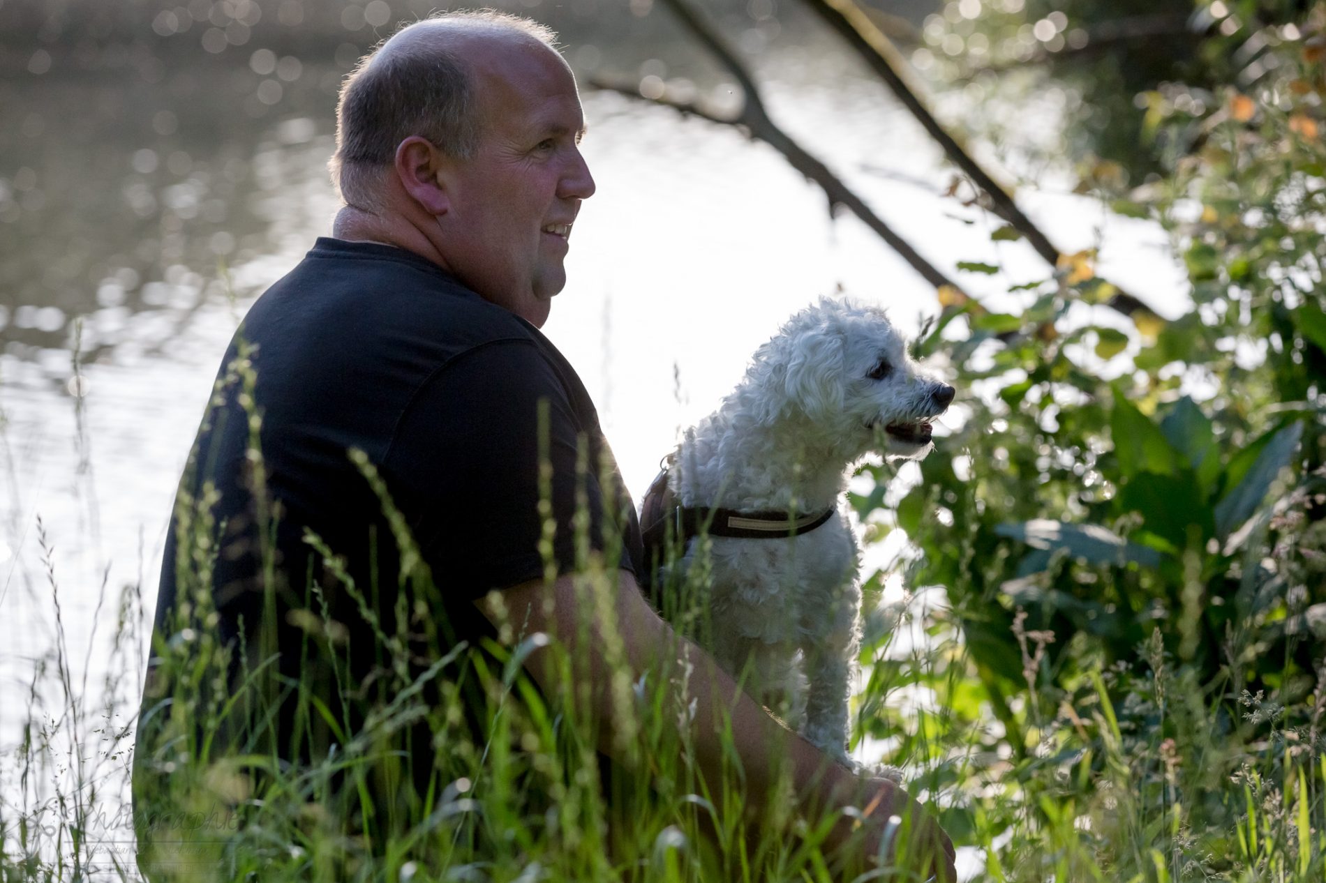 Fotograf-Düren-Hund-Portrait-Tiershooting
