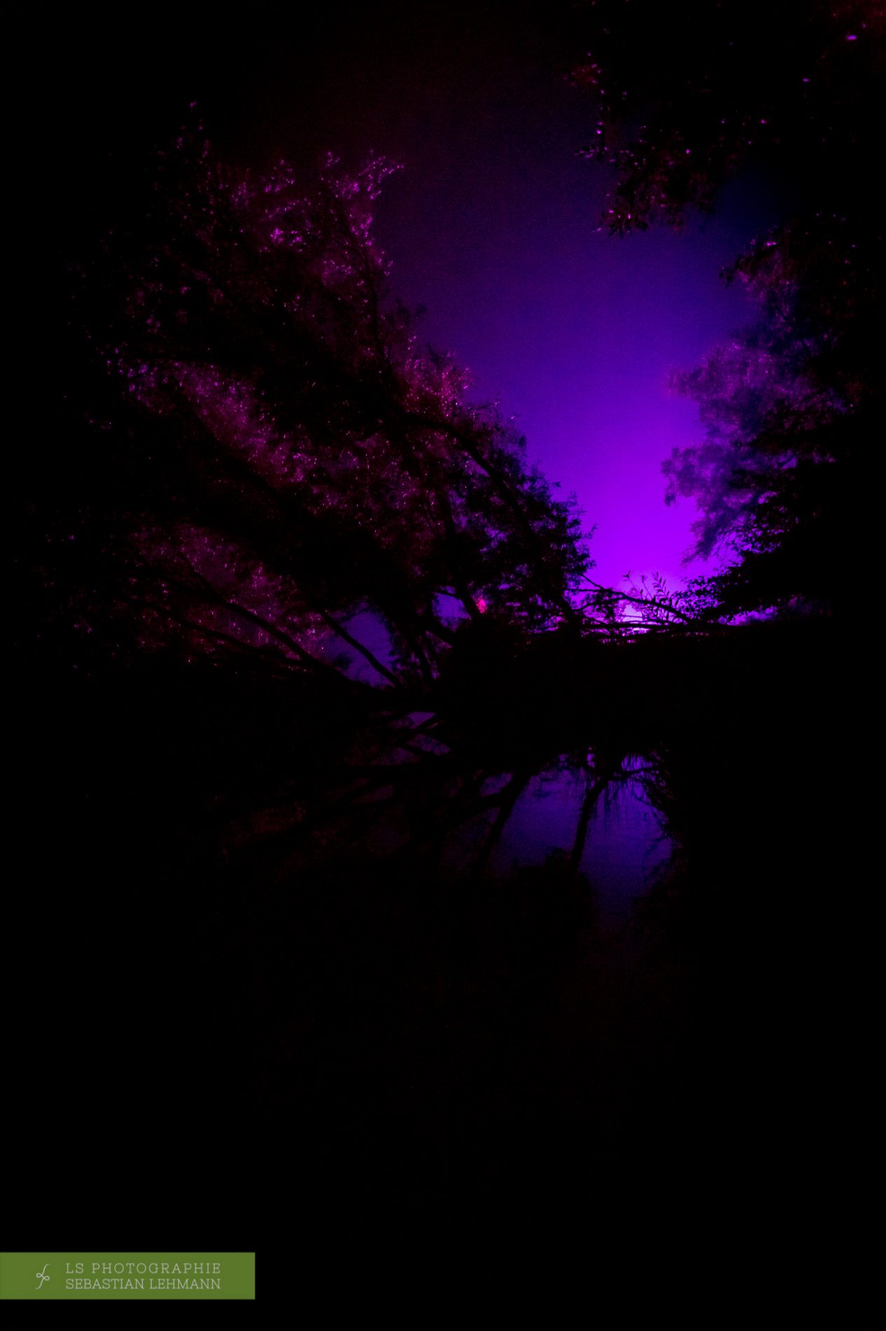 Fotograf Düren - Lichtspektakel auf der Fjoertoer in Renesse