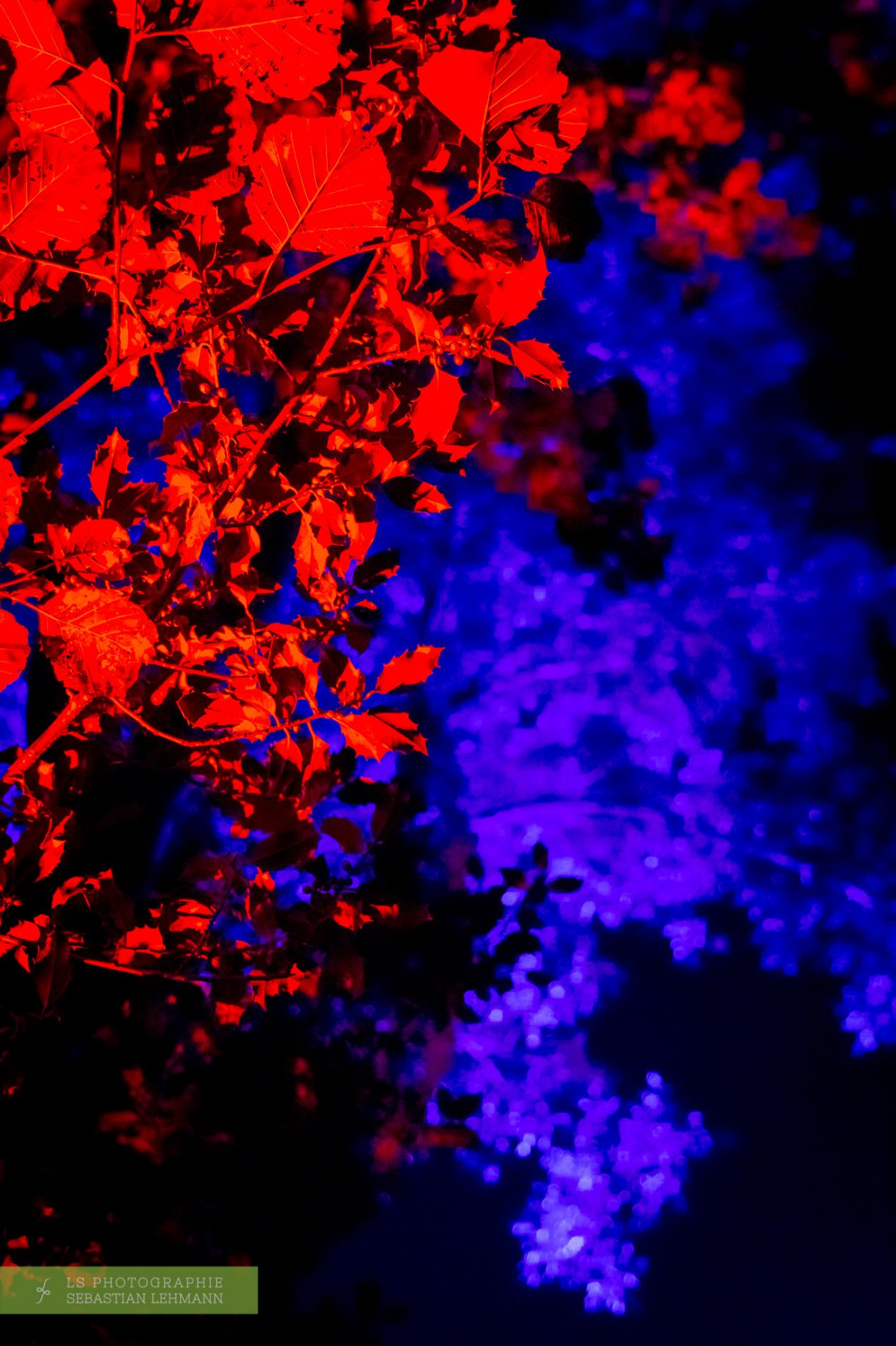 Fotograf Düren - Lichtspektakel auf der Fjoertoer in Renesse