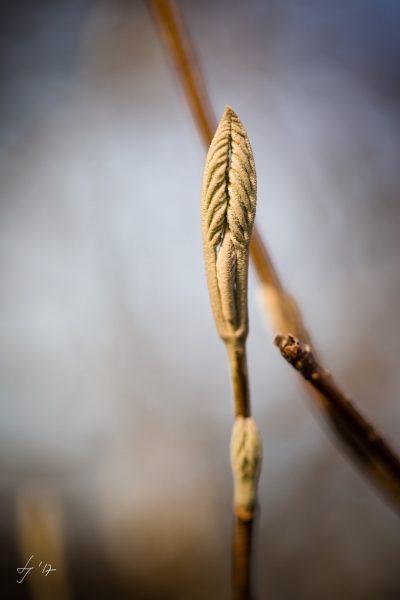 LS-Photographie-Fotograf-Dueren-Lehmann