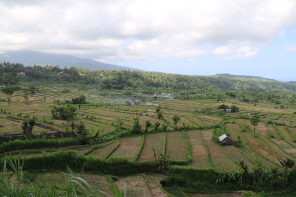 KW25 Nicole Ackermann - LS-Photochallenge-2018